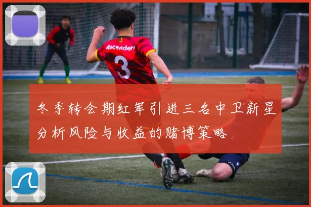 冬季转会期红军引进三名中卫新星分析风险与收益的赌博策略