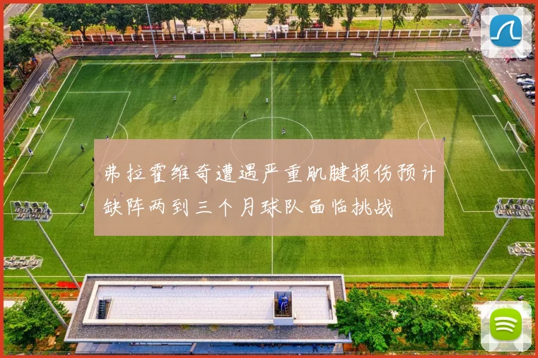 弗拉霍维奇遭遇严重肌腱损伤预计缺阵两到三个月球队面临挑战